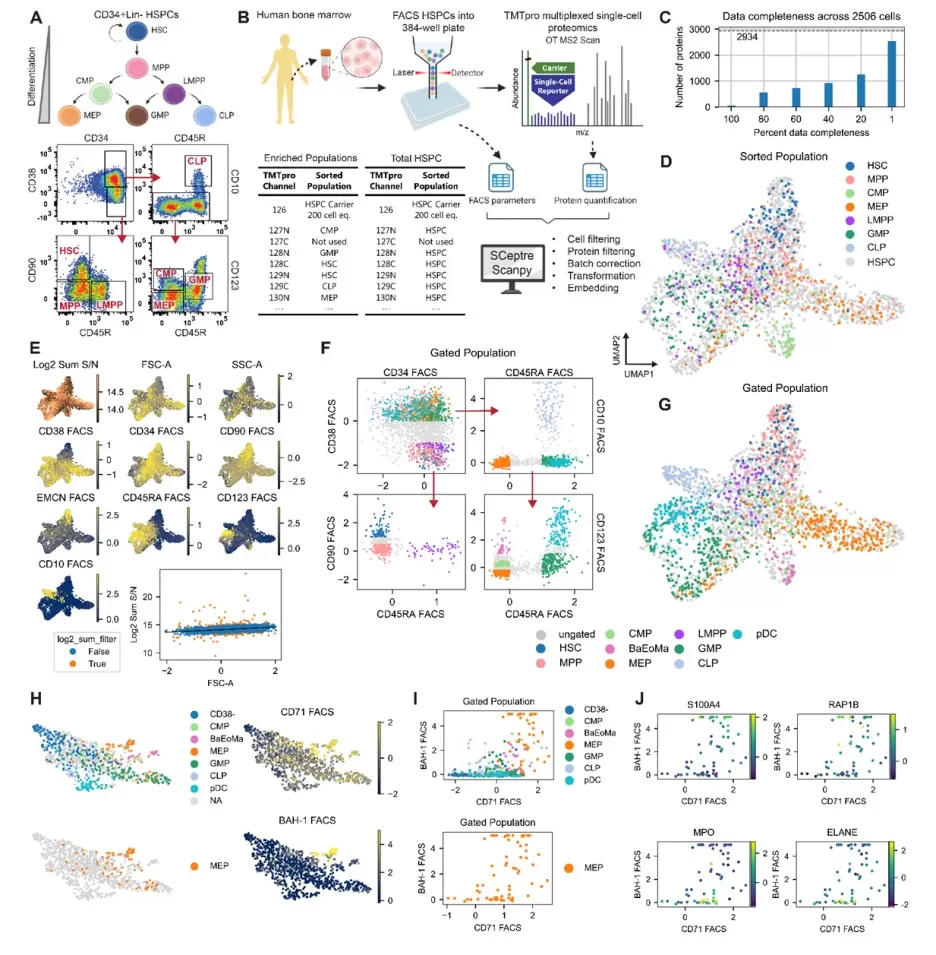 Figure 5. A single-cell proteomics dataset of FACS-isolated human HSPCs (Furtwängler et al., 2025).